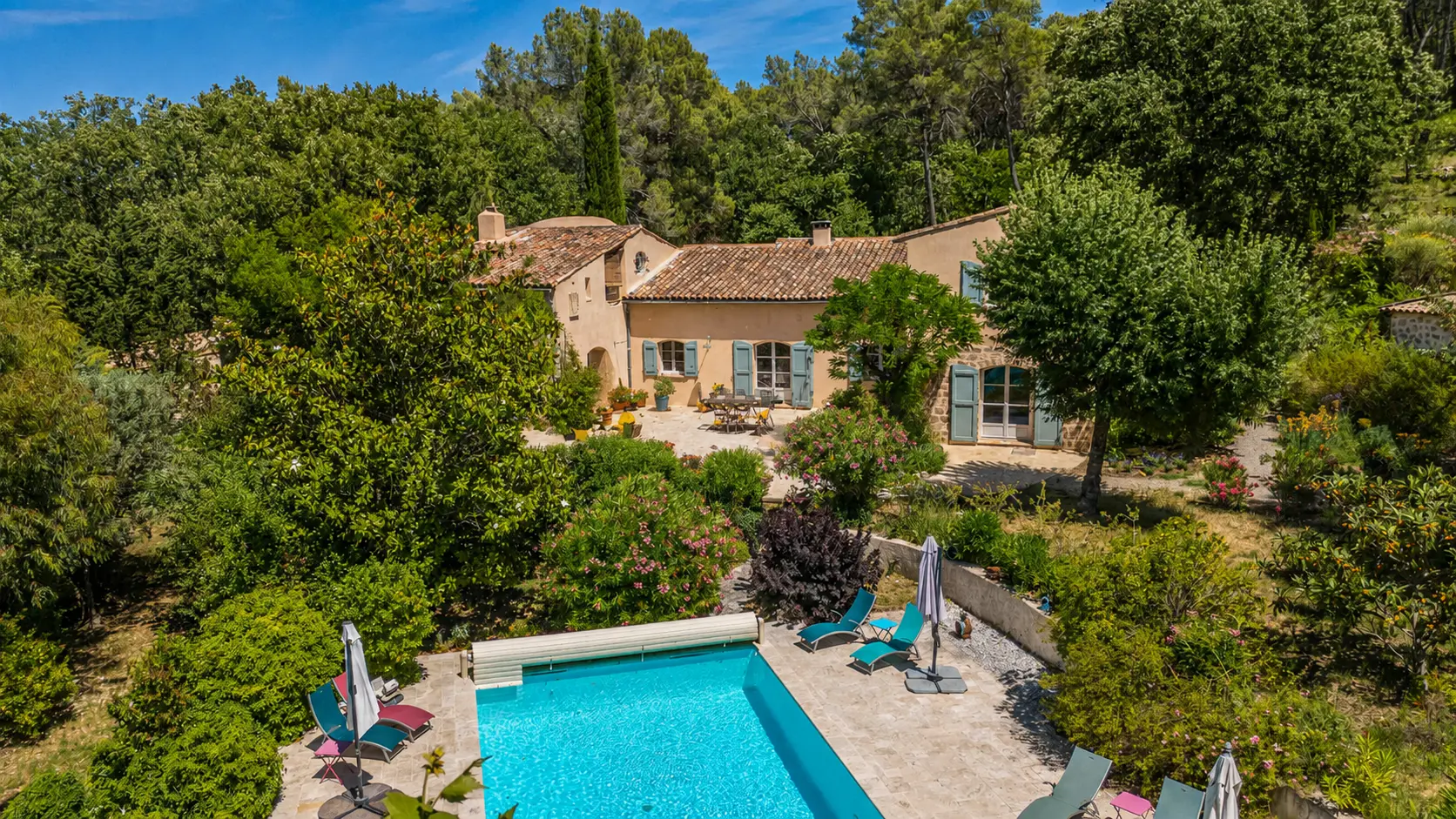 Ancient olive grove above the house